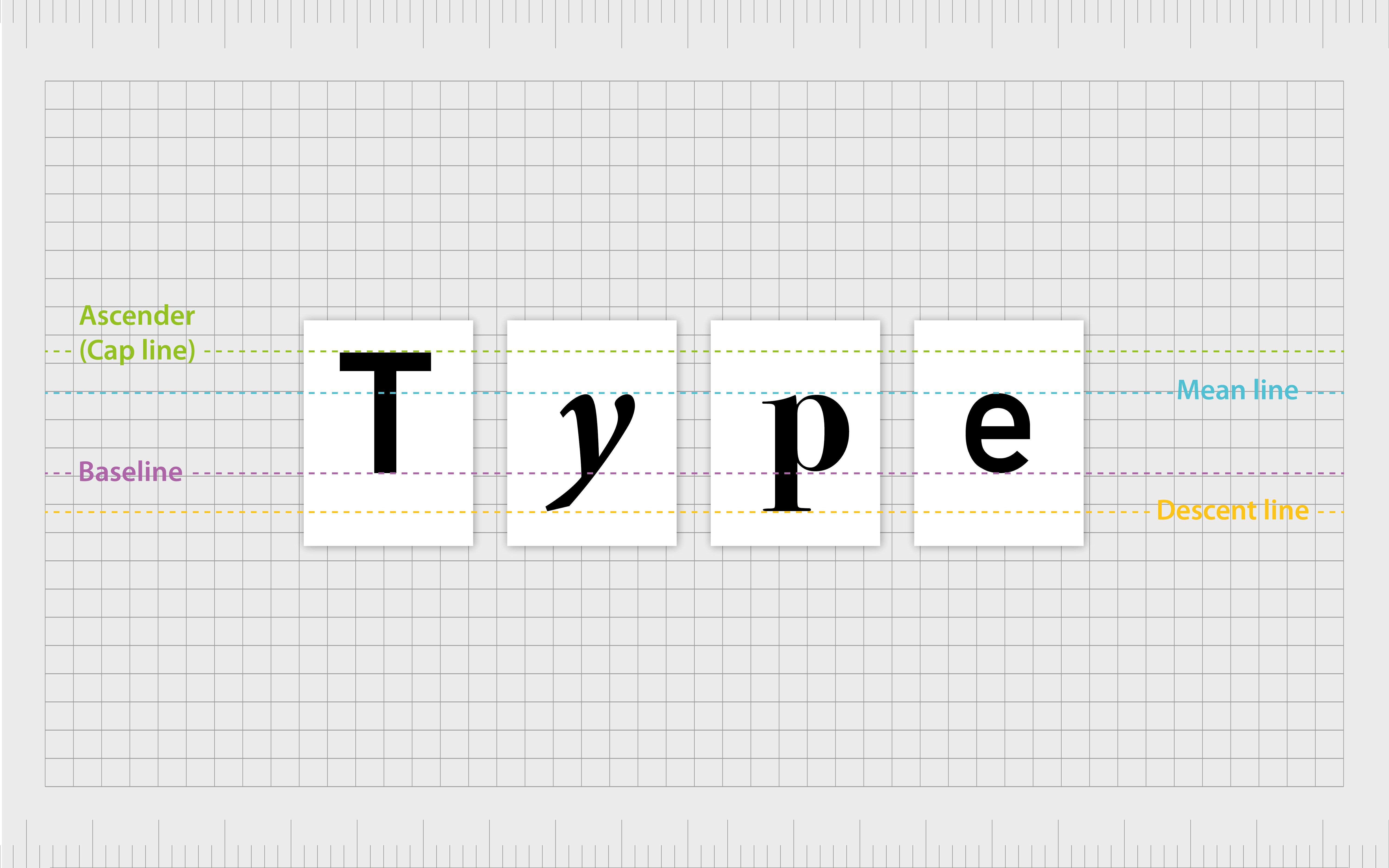 Typografi